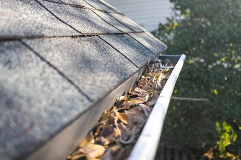 Clogged gutter with leaf buildup