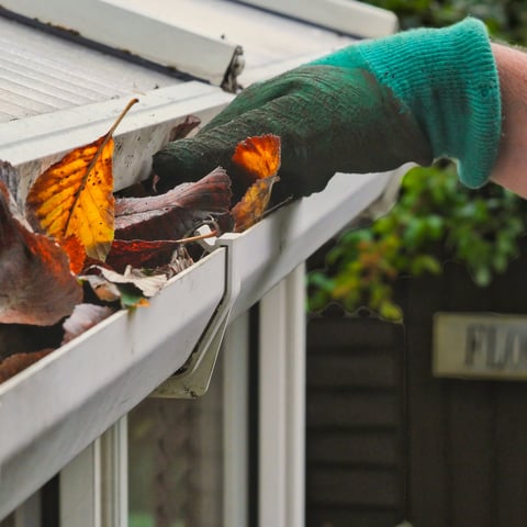 Hand removing autumn leaves from gutter