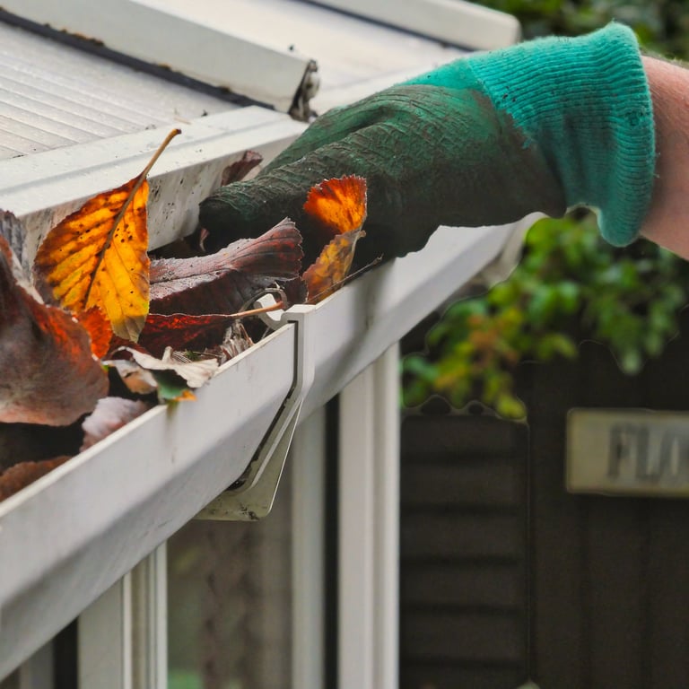 Professional gutter cleaning service